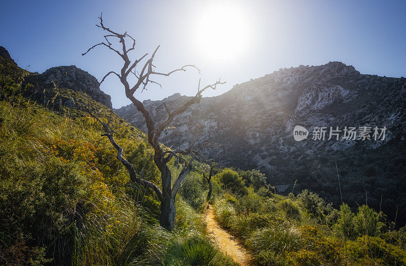 西班牙马略卡岛巴利阿里群岛Artà附近的Serres de levant自然公园的徒步旅行路线